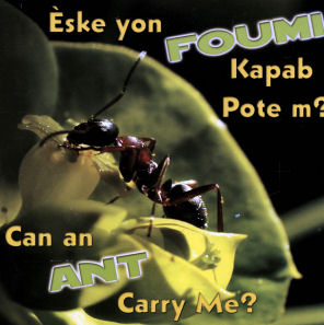 Can an Ant Carry Me? 